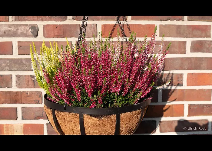 Neu! Am Gruenen Kamp Tatil Evi Bockhorn (Lower-Saxony)